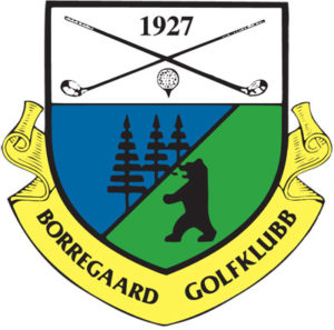 borregaard gk